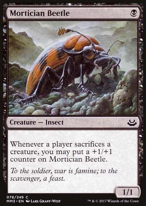 Mortician Beetle